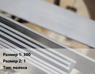 Нейзильбер 300х1 L=1 полоса Марка: МНЦ15-20